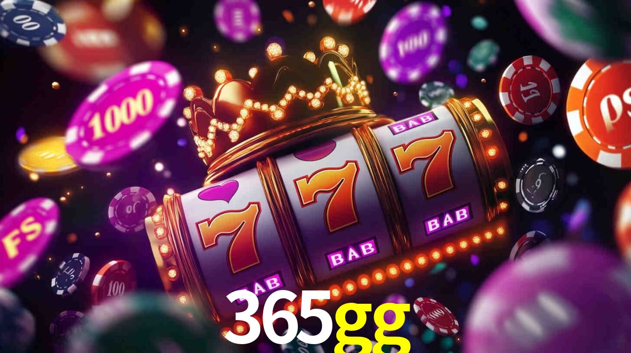 Experiência VIP 365gg