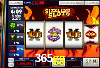 cassino 365gg